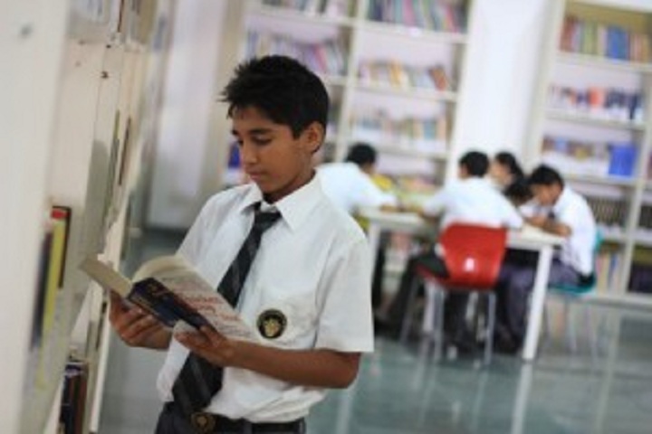 Sehwag International School-Library