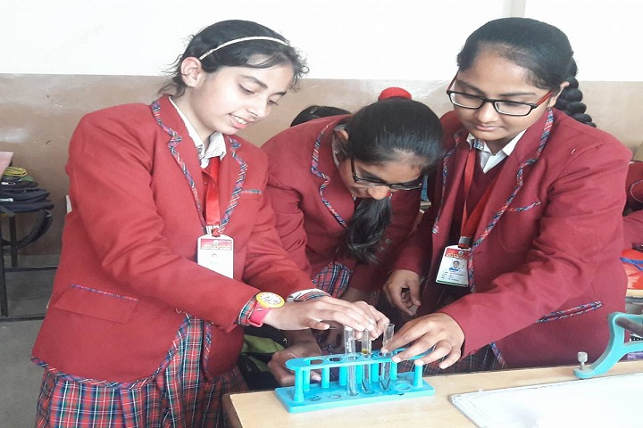 Seth Ramji Dass D A V Centenary Public School-Chemistry Lab