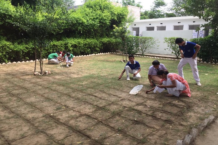 Shaheed Amar Singh Public School-Activity