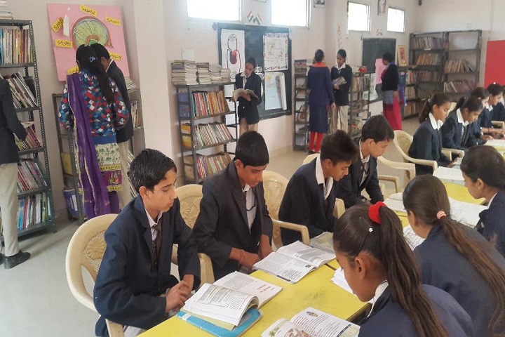 Shaheed Amar Singh Public School-Library