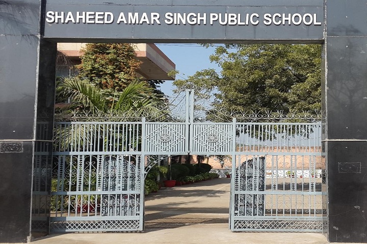 Shaheed Amar Singh Public School-School Entrance