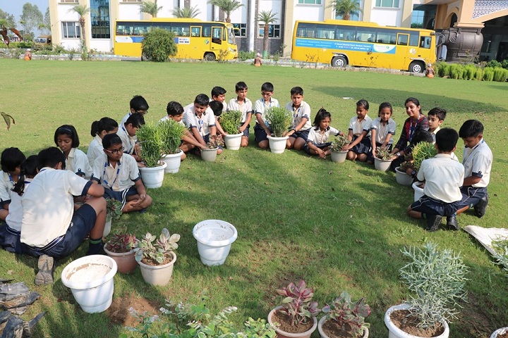 Shreejee International School-Plantation