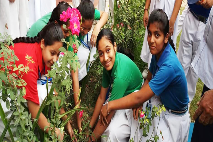 Shri Krishna Paranami Public School-Tree Plantation