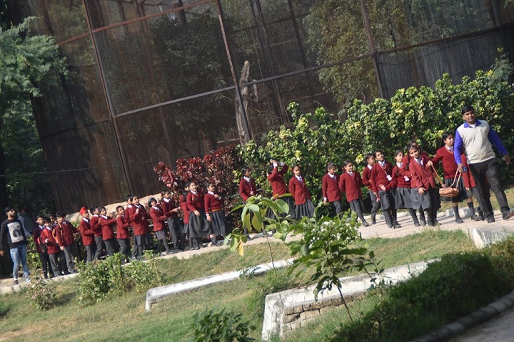 Sir Jawahar Singh Public School-Tour