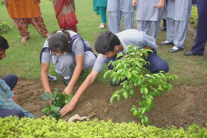 Spring Fields Public School-Eco club