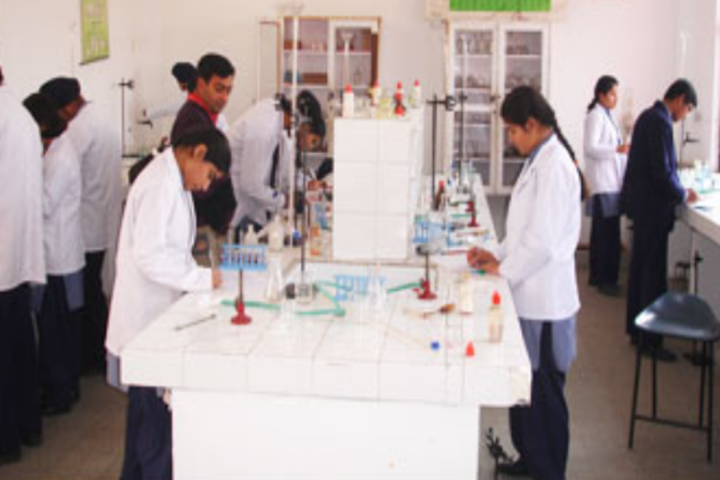 Spring Fields Public School-Chemistry-Lab
