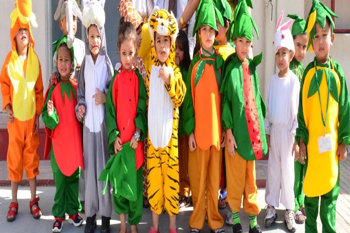St P B N Public School-fancy dress