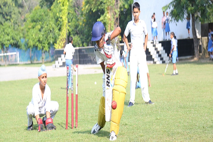 St Vivekanand Lotus Valley Public School-Sports