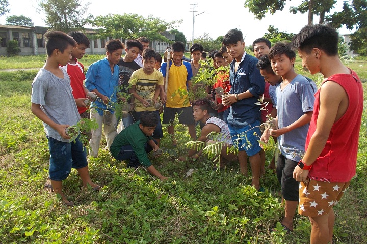 Jawahar Navodaya Vidyalaya-Plantation