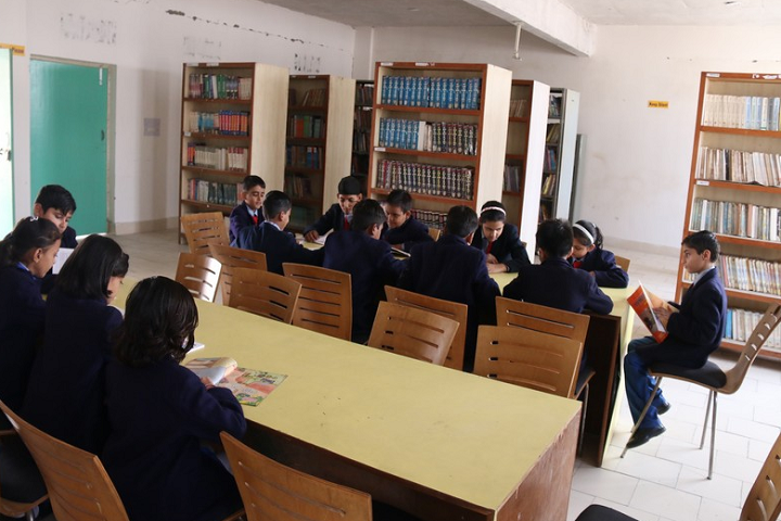 Teri Public School-Library