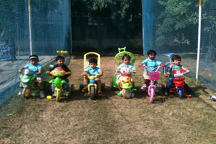 The Olive School - Tiny Tots Playa area