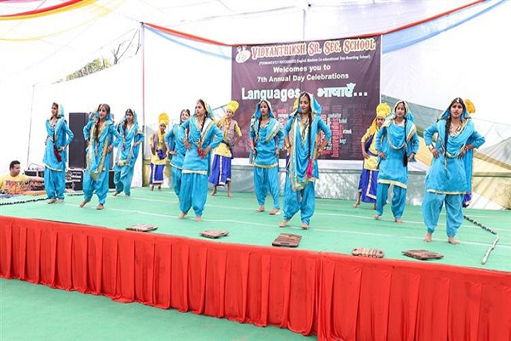 Vidyantriksh Senior Secondary School-Annual day