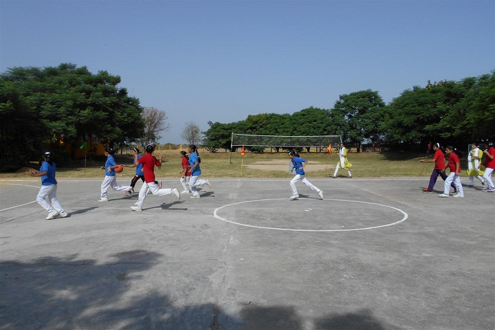 Vidyantriksh Senior Secondary School-Playground