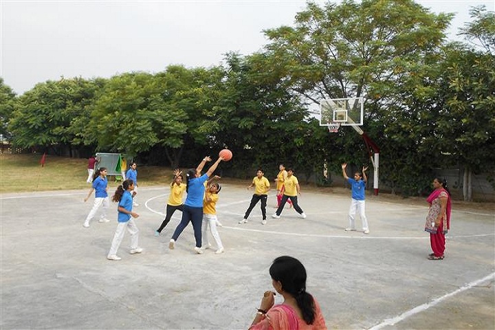Vidyantriksh Senior Secondary School-Sports
