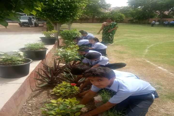 Vivekanand Global School-Plantation