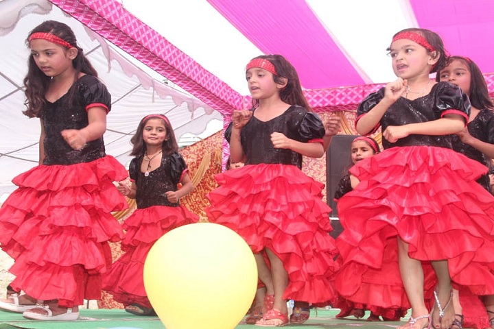 Alpine Public School-Annual Function