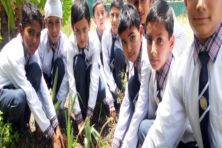 Angels Public School-Planting Tree