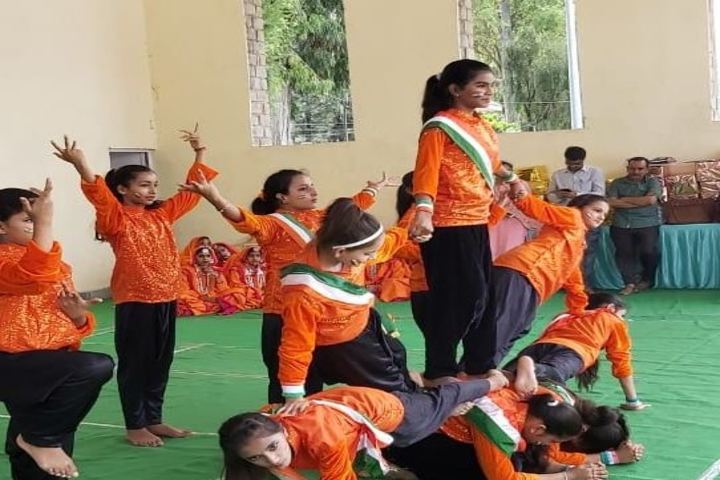 Angels Public School-Human Pyramid