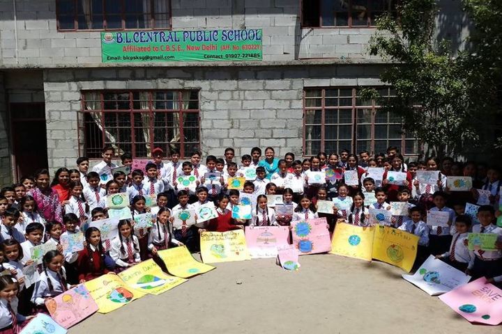 B L Central Public School-Activities