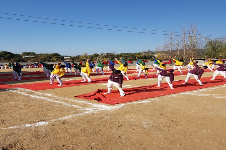 Chail Public School-Yoga Activity