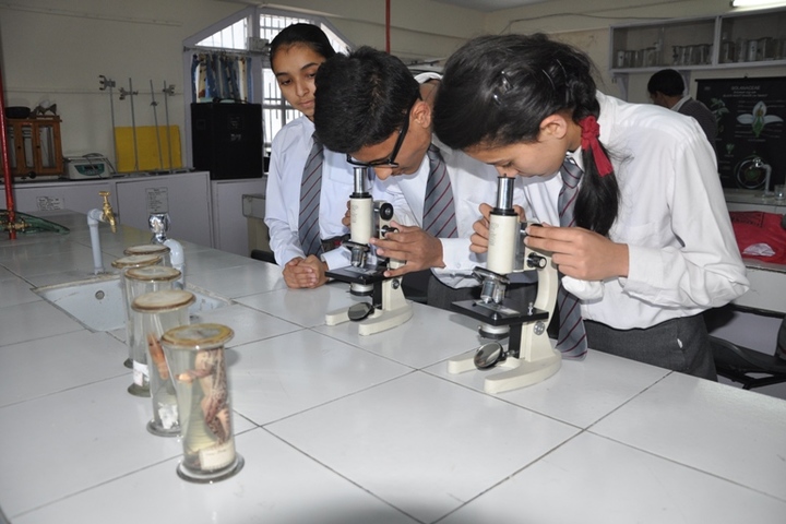 Chapslee School-Biology Lab