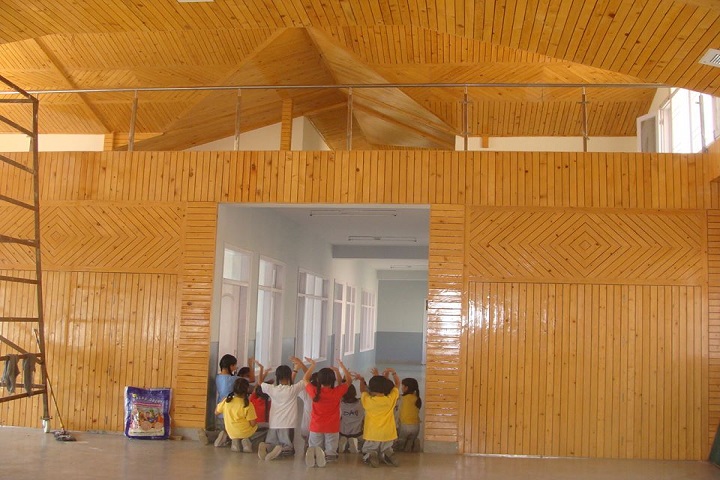 D A V Senior Secondary Public School-Dance-Room