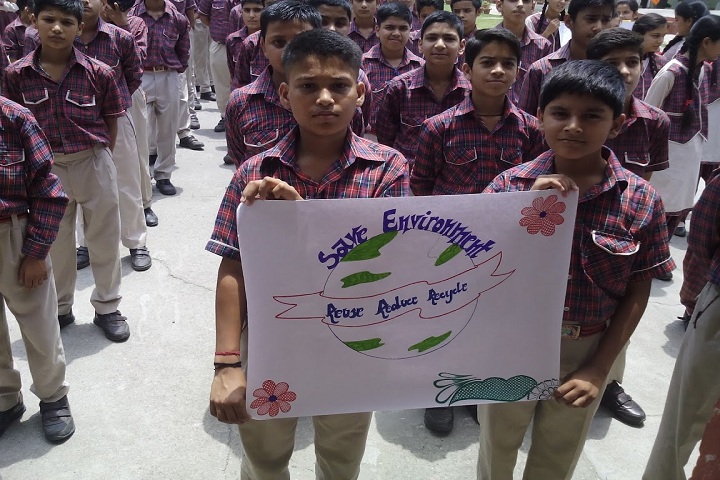 DAV Public School-Environment Day