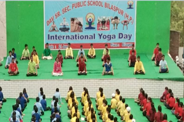 D A V Public School-Yoga