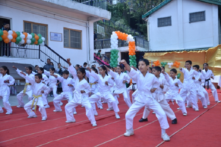 D A V Senior Secondary Public School-Karate