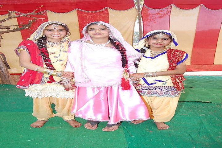 D A V M Public School-Event
