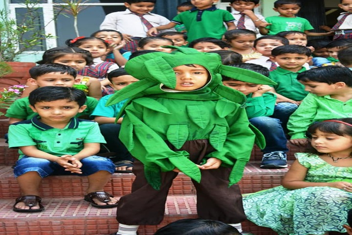 D A V Public Senior Secondary School-Fancy Dress