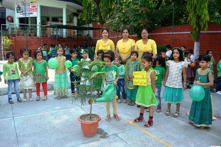 D A V Public Senior Secondary School-Planting Tree