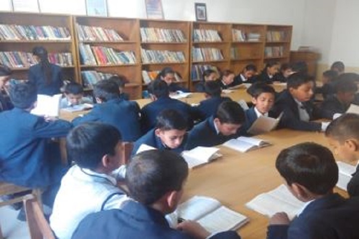 DAV Mahatma Anand Swami Public School-Library
