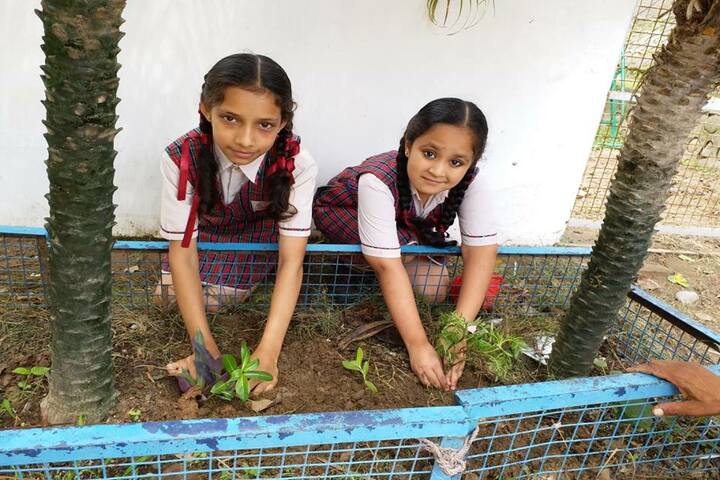 DAV Public School-Plantation