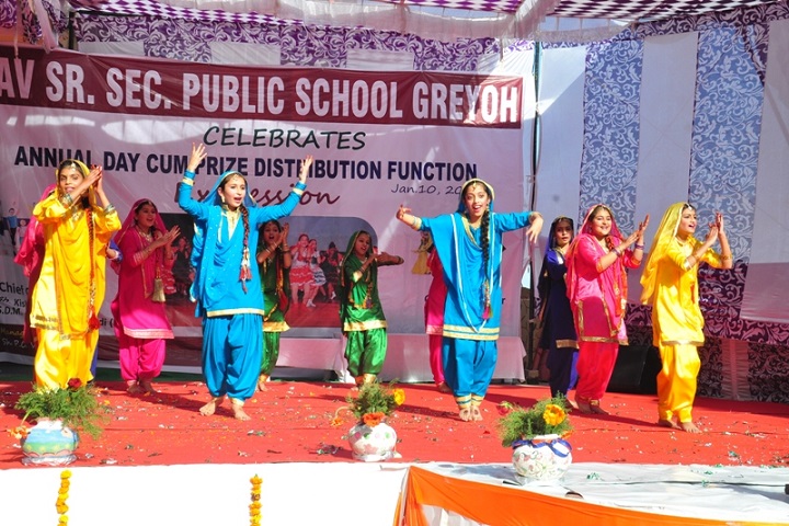 Dav Senior Secondary Public School-Dance