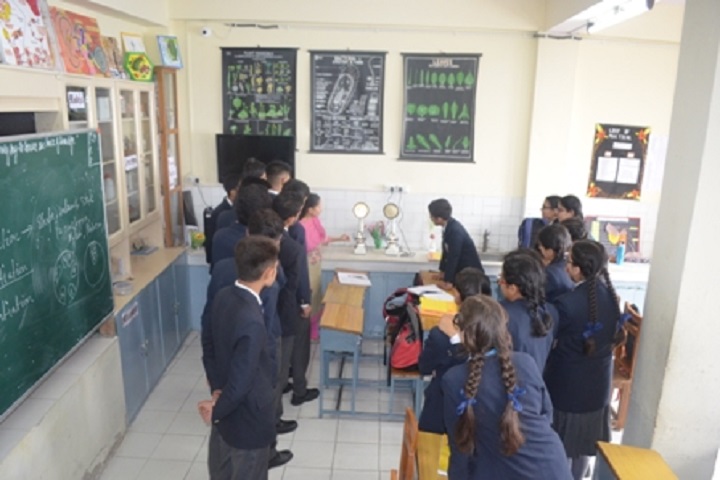 Dayanand Public School-Biology-Lab