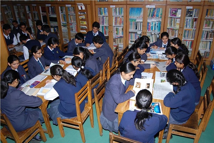 Dayanand Public School-Library