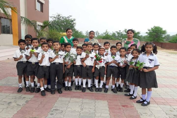 De Montreal Convent School-Tree Plantation
