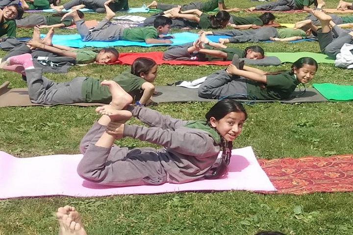 Delhi Public School-Activity