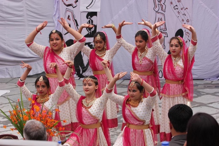Delhi Public School-Dance1