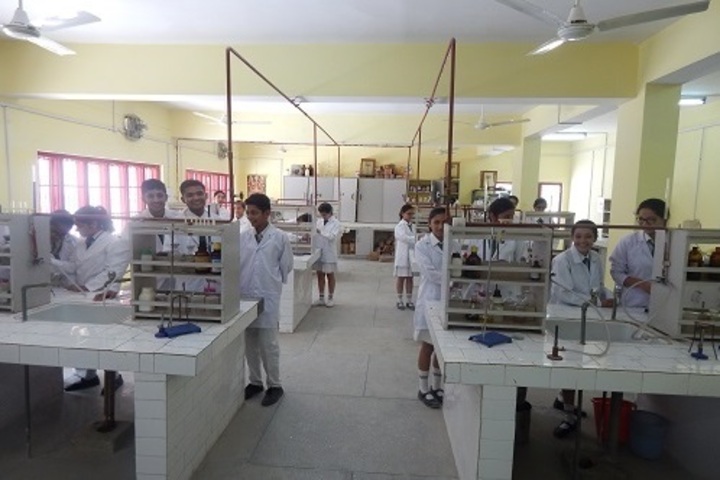 Delhi Public School-Chemistry Lab