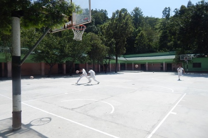 Delhi Public School-Play Ground
