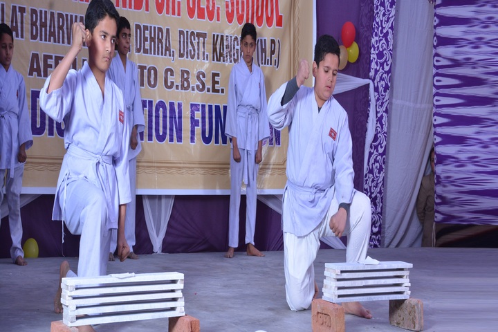 Dhauladhar Nirmla Devi Senior Secondary School-Activity