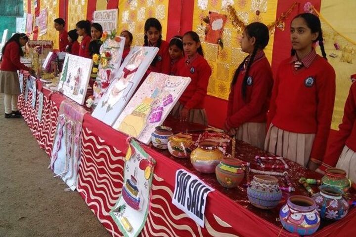 Dhauladhar Nirmla Devi Senior Secondary School-Art And Craft