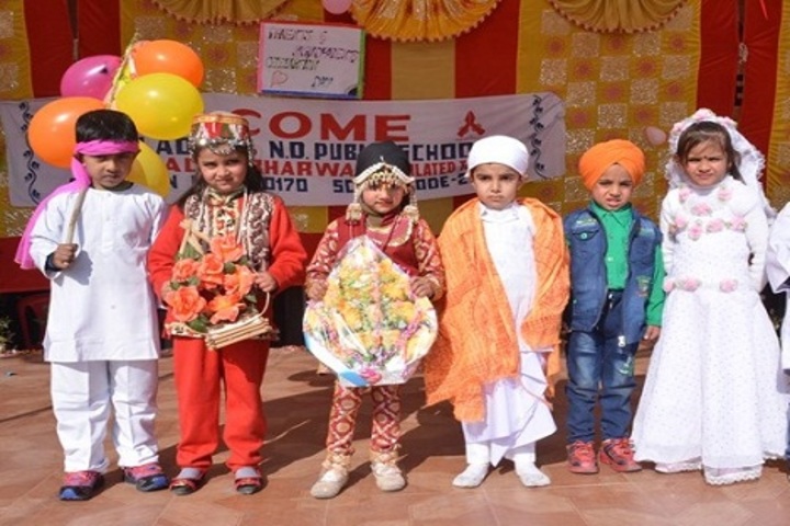 Dhauladhar Nirmla Devi Senior Secondary School-Fancy Dress