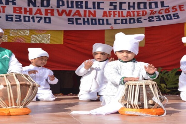 Dhauladhar Nirmla Devi Senior Secondary School-Music Activity