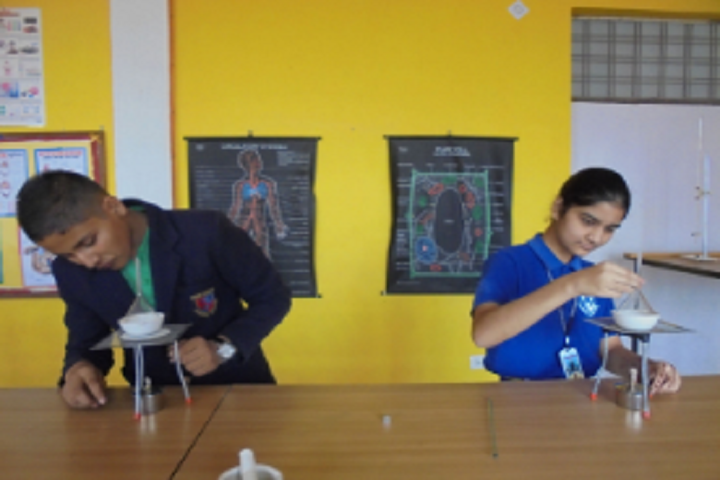 Divine Wisdom School-Laboratory