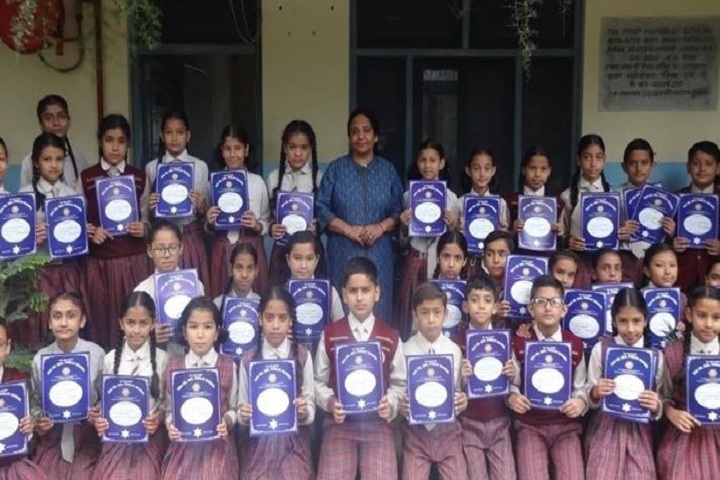 Dr Devi Chand DAV Public School-Achievements