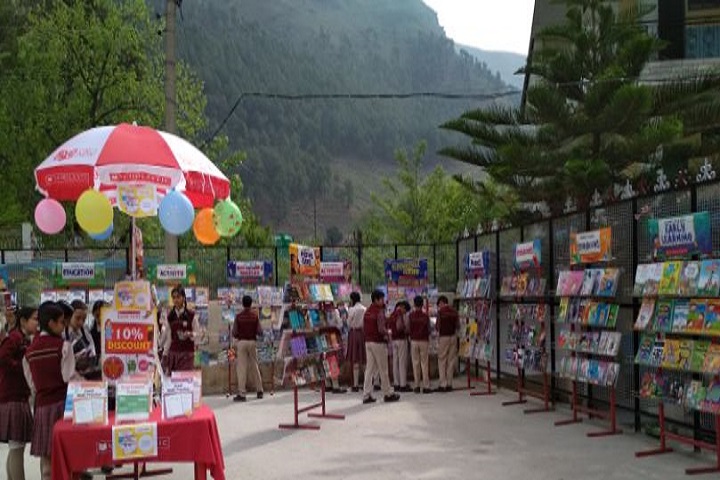 Dr Devi Chand DAV Public School-Exhibition