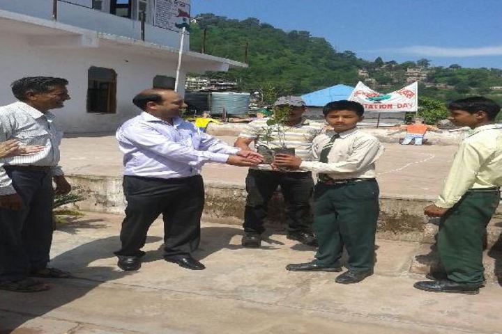Florence Convent School-Tree Plantation